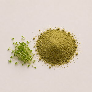 Alfalfa Extract