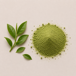 Green Tea Extract