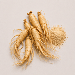 Panax Ginseng
